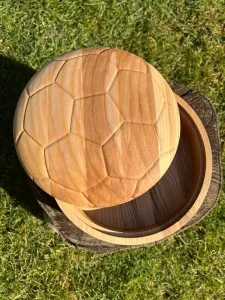 Obrázok Dóza futbalová lopta